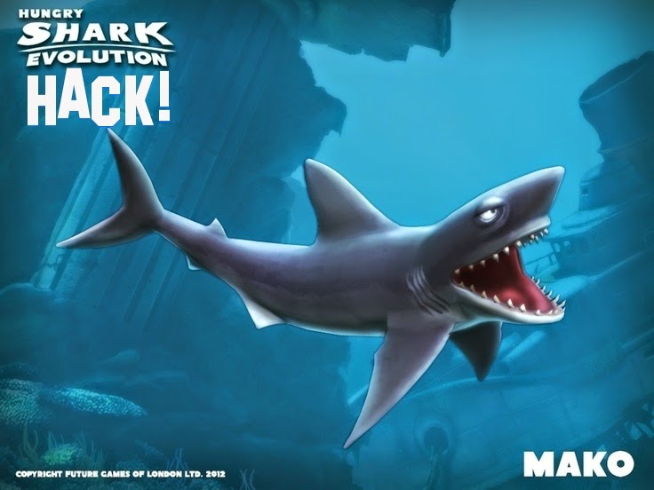 hungry shark белая акула видео hungry shark белая акула видео